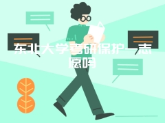 东北大学考研保护一志愿吗