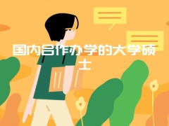 国内合作办学的大学硕士