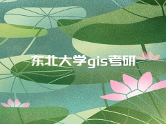 东北大学gis考研