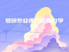 考研专业课只能靠自学吗