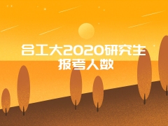 合工大2020研究生报考人数