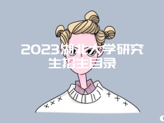 2023湖北大学研究生招生目录