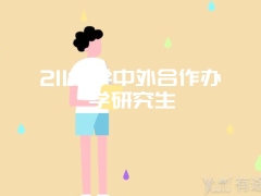 211大学中外合作办学研究生