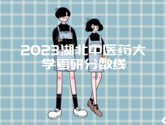 2023湖北中医药大学考研分数线