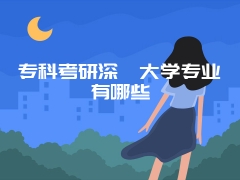 专科考研深圳大学专业有哪些