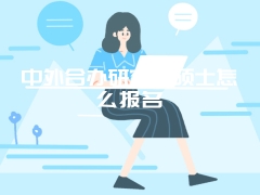 中外合办研究生硕士怎么报名