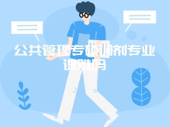 公共管理专硕调剂专业课难吗