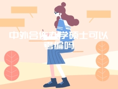 中外合作办学硕士可以考编吗