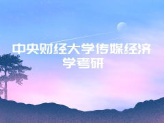 中央财经大学传媒经济学考研