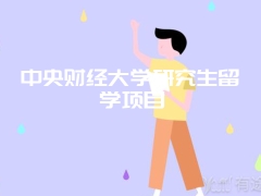 中央财经大学研究生留学项目