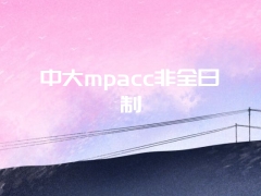 中大mpacc非全日制